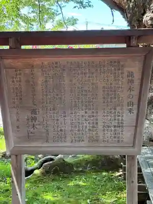 秩父今宮神社(埼玉県)
