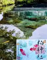 柏神社の御朱印
