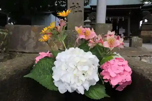 熊野福藏神社の手水