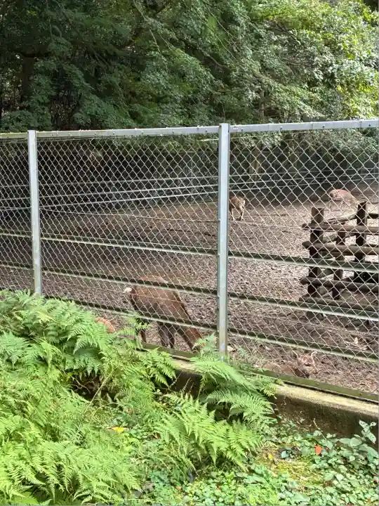 鹿島神宮(茨城県)