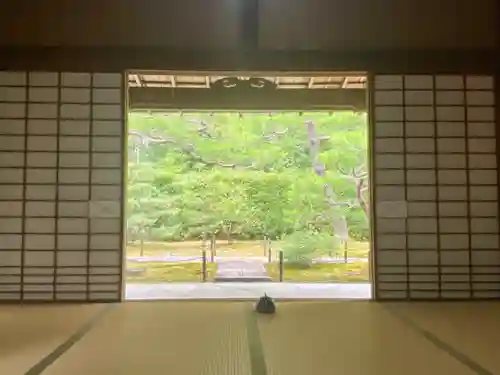 大雄院(京都府)