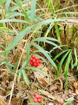 浄土寺(兵庫県)