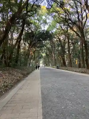 明治神宮(東京都)