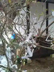 天照御祖神社(岩手県)