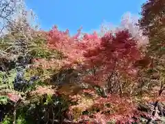 丹生都比売神社(和歌山県)