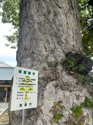 天満宮(大阪府)