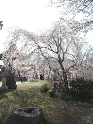 慶龍寺(茨城県)