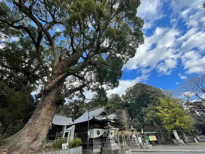 廣旗八幡宮(福岡県)