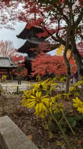 真正極楽寺（真如堂）(京都府)
