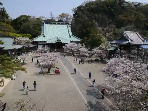 光明寺の景色