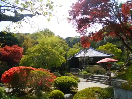 海蔵寺の庭園