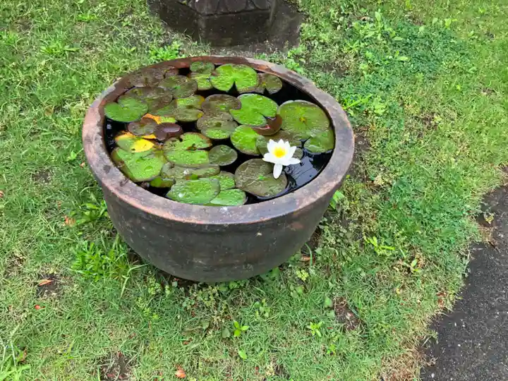 瀧泉寺(目黒不動尊)(東京都)