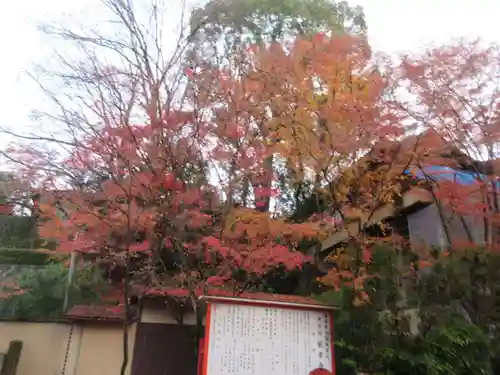 今熊野観音寺(京都府)