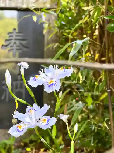 別所神社(長野県)
