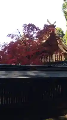 胡宮神社（敏満寺史跡）(滋賀県)