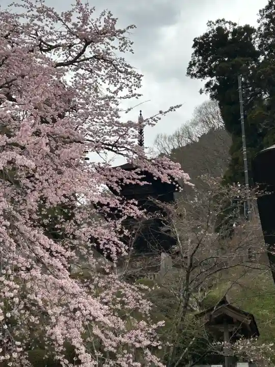 国宝 大法寺の{uncategorized: "未分類", other: "その他", undefined: "問題あり", building: "その他建物", grave: "お墓", sacred_gate: "鳥居", guardian: "狛犬", statue: "像", buddha: "仏像", history: "歴史", nature: "自然", garden: "庭園", animal: "動物", pagoda: "塔", temizu: "手水舎", mountain_gate: "山門・神門", sanctuary: "本殿・本堂", subordinate: "末社・摂社", art: "芸術", scenery: "景色", jizo: "地蔵", ema: "絵馬", goshuin: "御朱印", omikuji: "おみくじ", items: "授与品その他", amulet: "お守り", goshuincho: "御朱印帳", eats: "食事", festival: "お祭り", votive_dance: "神楽", shichigosan: "七五三参", wedding: "結婚式", experience: "体験その他", initially: "初詣", around: "周辺", anti_infection: "感染症対策"}