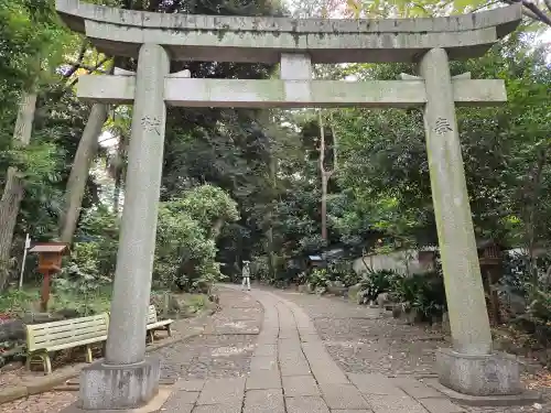 代々木八幡宮の鳥居