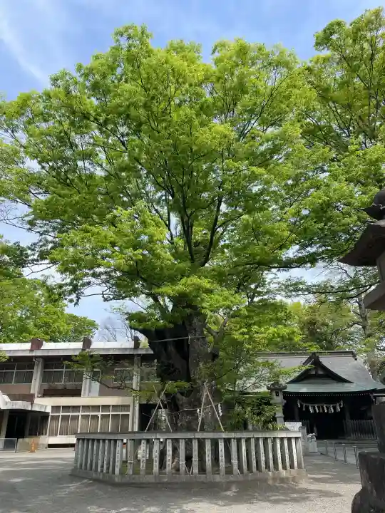 高城神社の{uncategorized: "未分類", other: "その他", undefined: "問題あり", building: "その他建物", grave: "お墓", sacred_gate: "鳥居", guardian: "狛犬", statue: "像", buddha: "仏像", history: "歴史", nature: "自然", garden: "庭園", animal: "動物", pagoda: "塔", temizu: "手水舎", mountain_gate: "山門・神門", sanctuary: "本殿・本堂", subordinate: "末社・摂社", art: "芸術", scenery: "景色", jizo: "地蔵", ema: "絵馬", goshuin: "御朱印", omikuji: "おみくじ", items: "授与品その他", amulet: "お守り", goshuincho: "御朱印帳", eats: "食事", festival: "お祭り", votive_dance: "神楽", shichigosan: "七五三参", wedding: "結婚式", experience: "体験その他", initially: "初詣", around: "周辺", anti_infection: "感染症対策"}