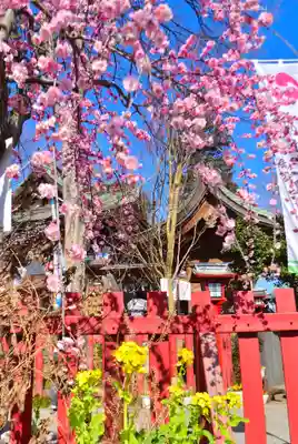 川越八幡宮(埼玉県)