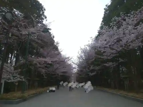 北海道神宮の景色