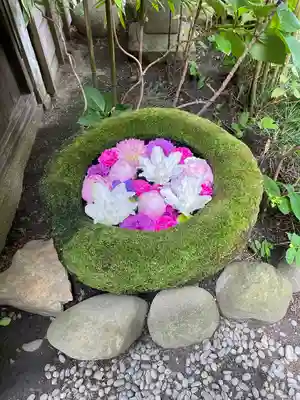 菅生神社(愛知県)