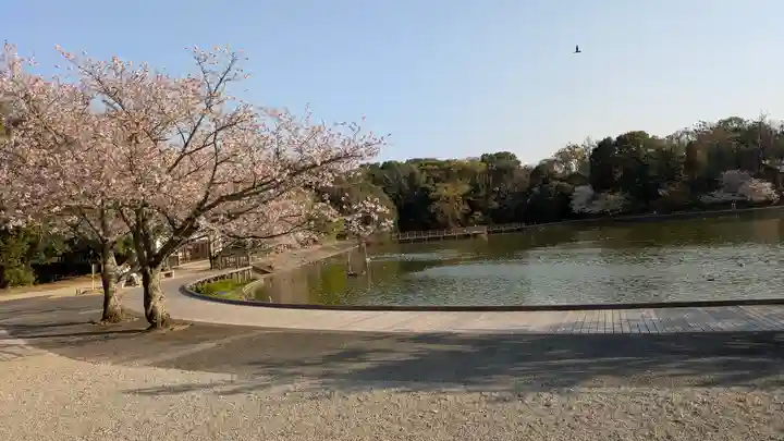 橿原神宮(奈良県)