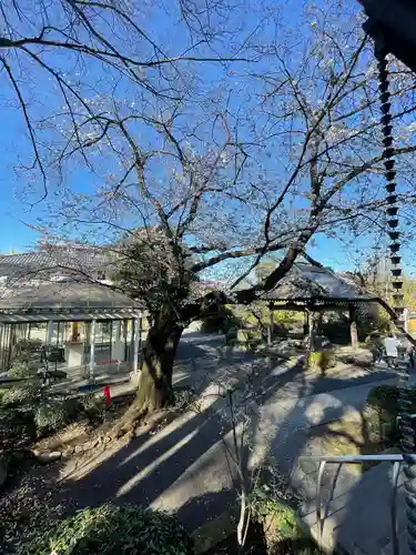 船橋不動尊　寳性寺(東京都)