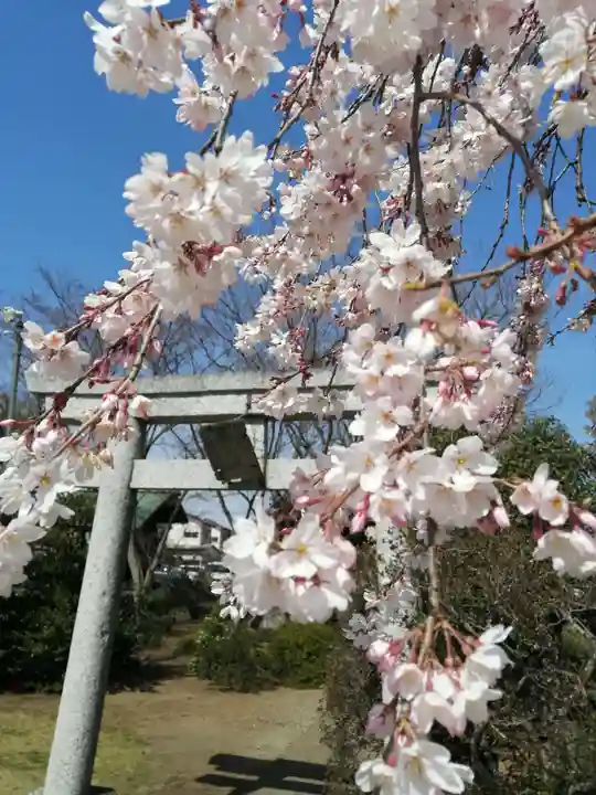 境香取神社の自然