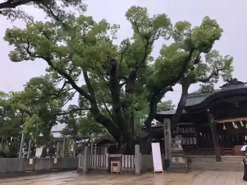 石切劔箭神社の自然
