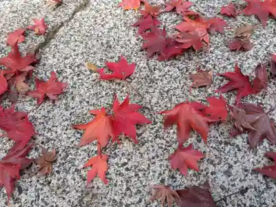 観音寺(滋賀県)