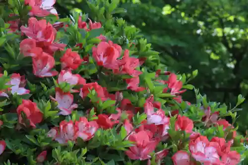 国宝 大法寺の自然