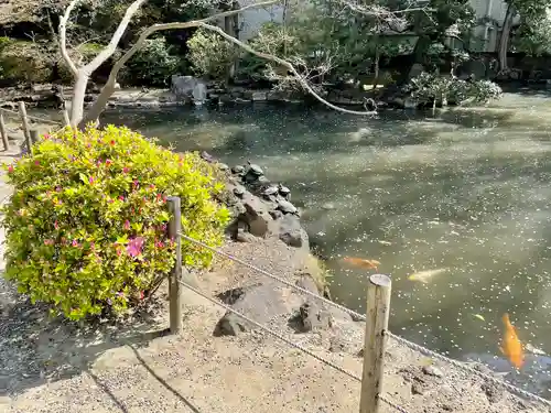 根津神社(東京都)