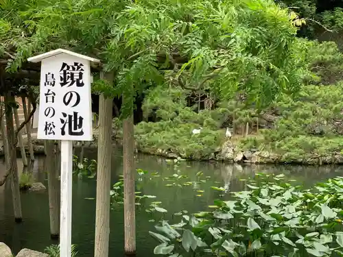 出雲大社の庭園