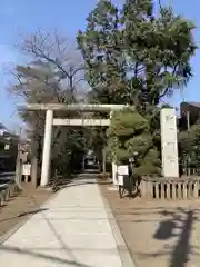 双葉町氷川神社の鳥居