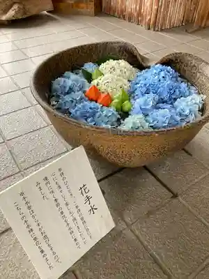 美瑛神社の手水舎