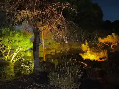 平安神宮のお祭り