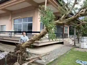 蓮久寺(千葉県)(2021年10月03日(日) 21時09分41秒投稿)