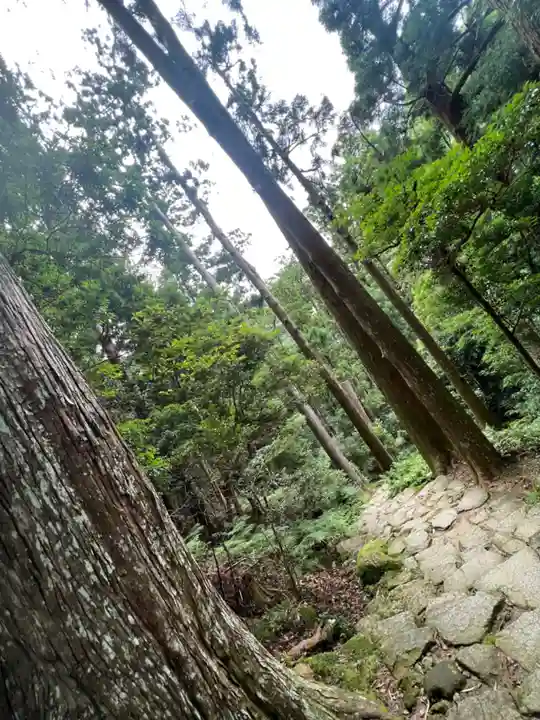 飛瀧神社(熊野那智大社別宮)(和歌山県)