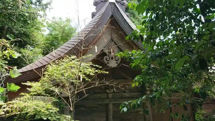 渋川八幡宮の本殿・本堂