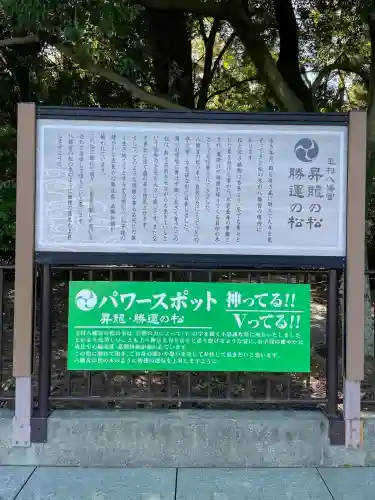 玉村八幡宮(群馬県)