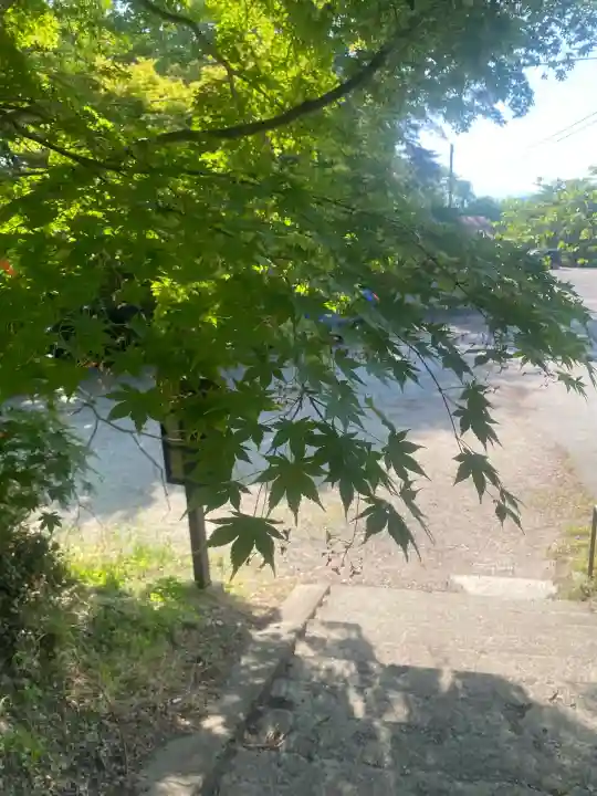 烏帽子山八幡宮の{uncategorized: "未分類", other: "その他", undefined: "問題あり", building: "その他建物", grave: "お墓", sacred_gate: "鳥居", guardian: "狛犬", statue: "像", buddha: "仏像", history: "歴史", nature: "自然", garden: "庭園", animal: "動物", pagoda: "塔", temizu: "手水舎", mountain_gate: "山門・神門", sanctuary: "本殿・本堂", subordinate: "末社・摂社", art: "芸術", scenery: "景色", jizo: "地蔵", ema: "絵馬", goshuin: "御朱印", omikuji: "おみくじ", items: "授与品その他", amulet: "お守り", goshuincho: "御朱印帳", eats: "食事", festival: "お祭り", votive_dance: "神楽", shichigosan: "七五三参", wedding: "結婚式", experience: "体験その他", initially: "初詣", around: "周辺", anti_infection: "感染症対策"}