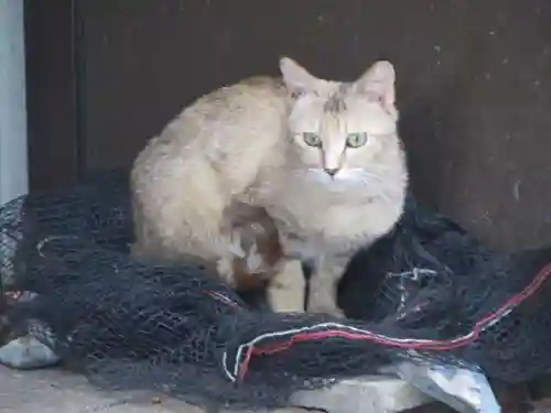 伊勢神宮内宮（皇大神宮）(三重県)