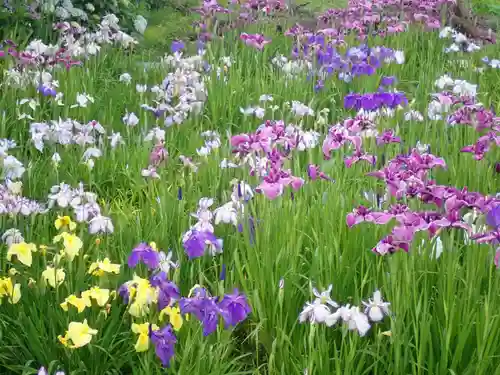最乗寺（道了尊）(神奈川県)
