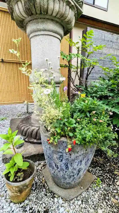 鎮守氷川神社の自然