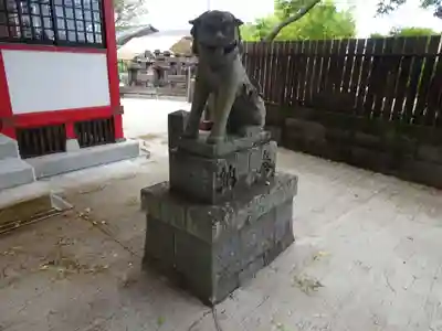 粟嶋神社・八坂神社の狛犬