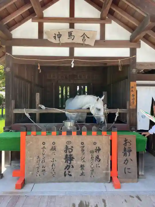 賀茂別雷神社(上賀茂神社)の動物