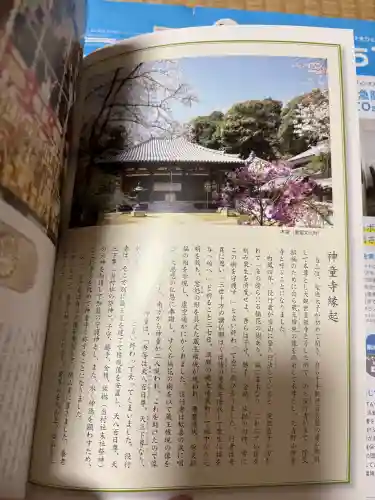 神童寺の{uncategorized: "未分類", other: "その他", undefined: "問題あり", building: "その他建物", grave: "お墓", sacred_gate: "鳥居", guardian: "狛犬", statue: "像", buddha: "仏像", history: "歴史", nature: "自然", garden: "庭園", animal: "動物", pagoda: "塔", temizu: "手水舎", mountain_gate: "山門・神門", sanctuary: "本殿・本堂", subordinate: "末社・摂社", art: "芸術", scenery: "景色", jizo: "地蔵", ema: "絵馬", goshuin: "御朱印", omikuji: "おみくじ", items: "授与品その他", amulet: "お守り", goshuincho: "御朱印帳", eats: "食事", festival: "お祭り", votive_dance: "神楽", shichigosan: "七五三参", wedding: "結婚式", experience: "体験その他", initially: "初詣", around: "周辺", anti_infection: "感染症対策"}