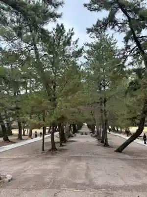出雲大社(島根県)