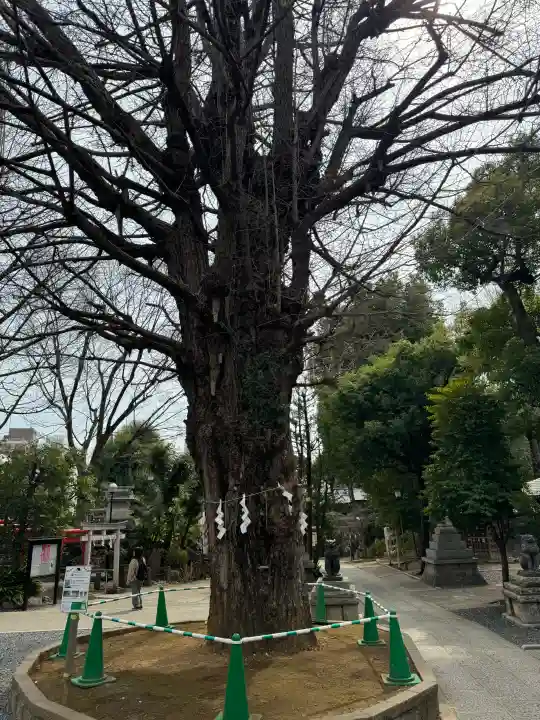 鳩森八幡神社の{uncategorized: "未分類", other: "その他", undefined: "問題あり", building: "その他建物", grave: "お墓", sacred_gate: "鳥居", guardian: "狛犬", statue: "像", buddha: "仏像", history: "歴史", nature: "自然", garden: "庭園", animal: "動物", pagoda: "塔", temizu: "手水舎", mountain_gate: "山門・神門", sanctuary: "本殿・本堂", subordinate: "末社・摂社", art: "芸術", scenery: "景色", jizo: "地蔵", ema: "絵馬", goshuin: "御朱印", omikuji: "おみくじ", items: "授与品その他", amulet: "お守り", goshuincho: "御朱印帳", eats: "食事", festival: "お祭り", votive_dance: "神楽", shichigosan: "七五三参", wedding: "結婚式", experience: "体験その他", initially: "初詣", around: "周辺", anti_infection: "感染症対策"}