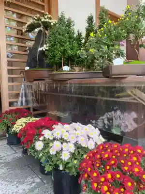 美奈宜神社(福岡県)